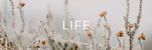LIFE